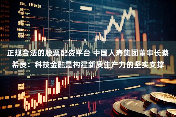 正规合法的股票配资平台 中国人寿集团董事长蔡希良：科技金融是构建新质生产力的坚实支撑
