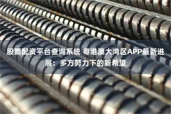 股票配资平台查询系统 粤港澳大湾区APP最新进展：多方努力下的新希望